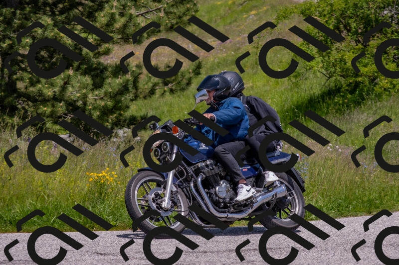 202506071319-DSC_0651_c4_