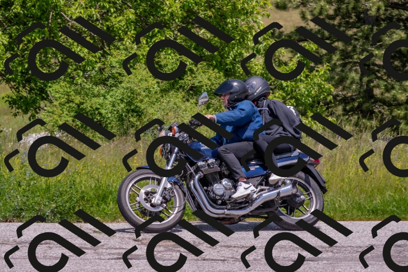 202506071319-DSC_0652_c4_