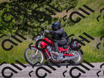 202506071319-DSC_0653_c4_