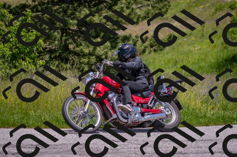 202506071319-DSC_0653_c4_