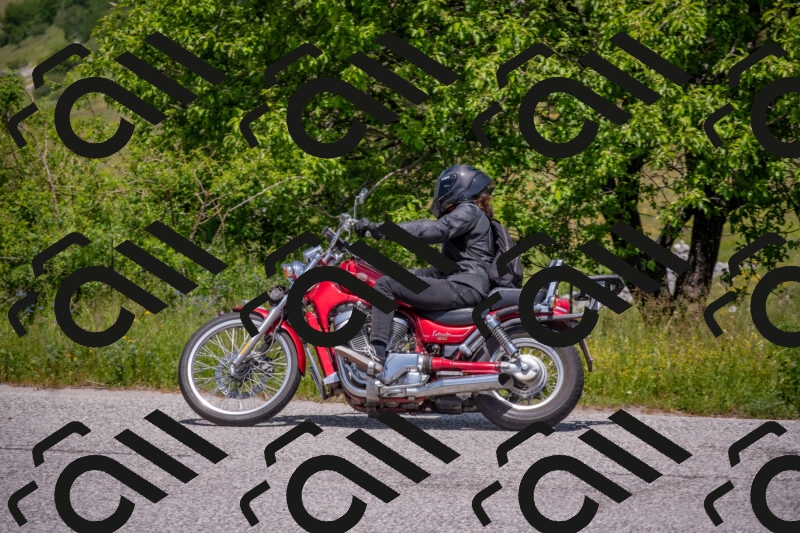 202506071319-DSC_0655_c4_