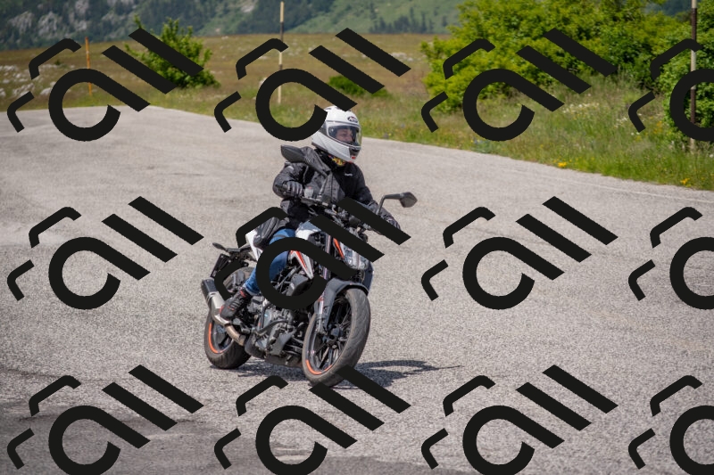 202506071329-DSC_0683_c4_