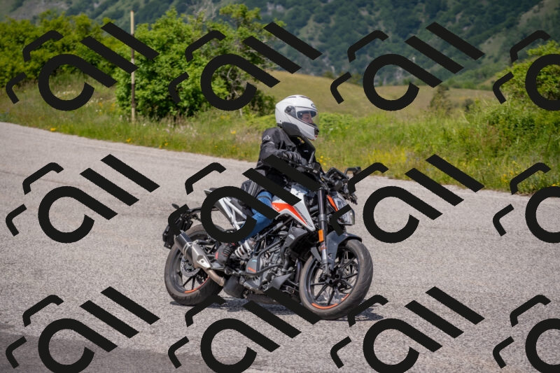 202506071329-DSC_0684_c4_