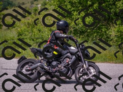 202506071330-DSC_0691_c4_