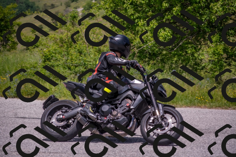 202506071330-DSC_0691_c4_