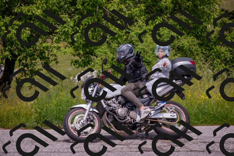 202506071335-DSC_0726_c4_