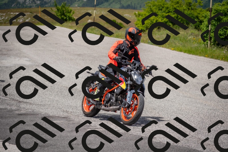 202506071342-DSC_0773_c4_