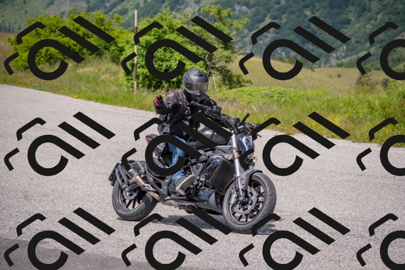 202506071344-DSC_0783_c4_