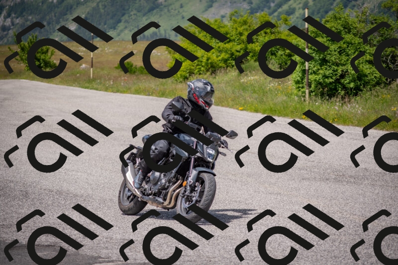 202506071348-DSC_0797_c4_