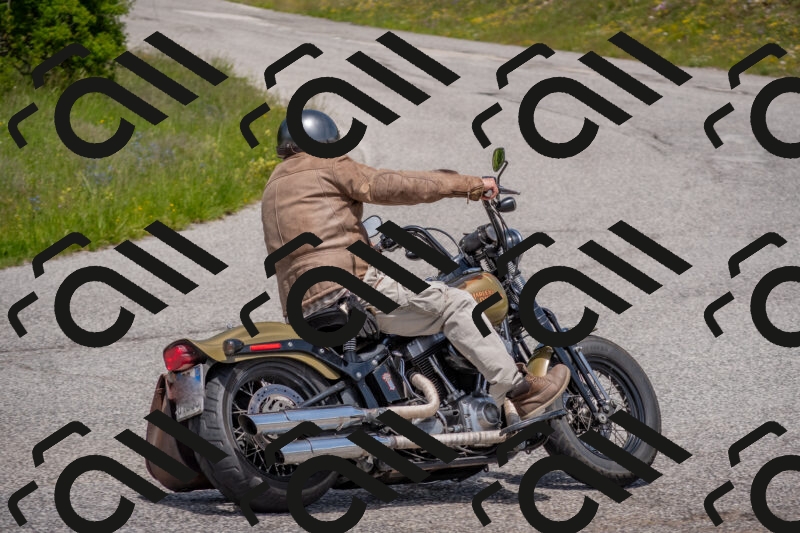 202506071348-DSC_0804_c4_