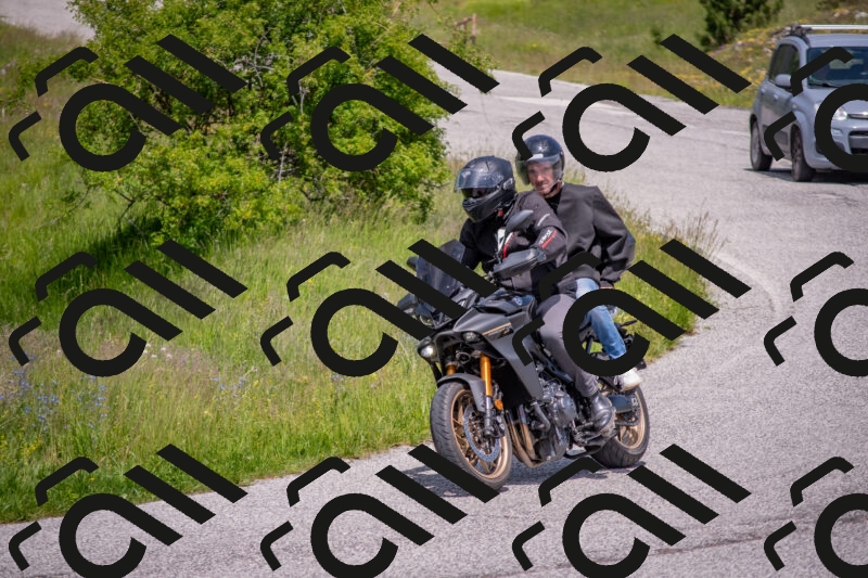 202506071349-DSC_0813_c4_