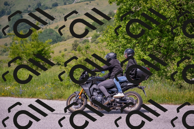 202506071349-DSC_0815_c4_