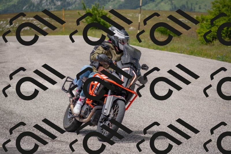 202506071358-DSC_0859_c4_