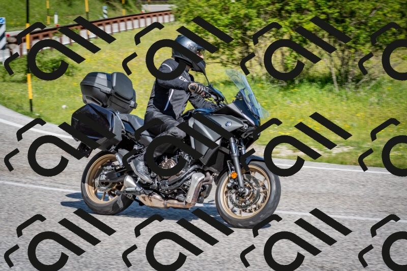 202506081002-DSC_5560_c2