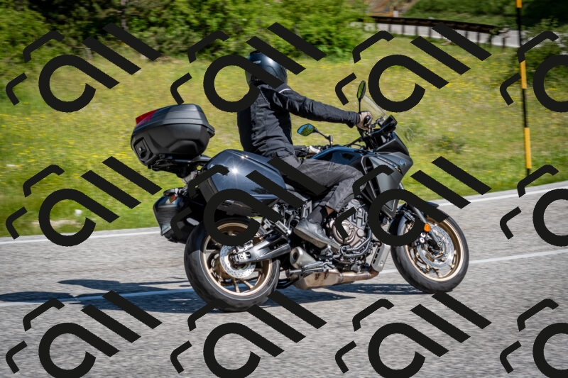 202506081002-DSC_5561_c2