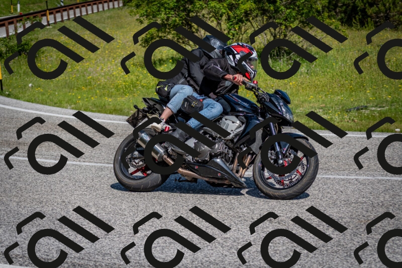 202506081011-DSC_5581_c2