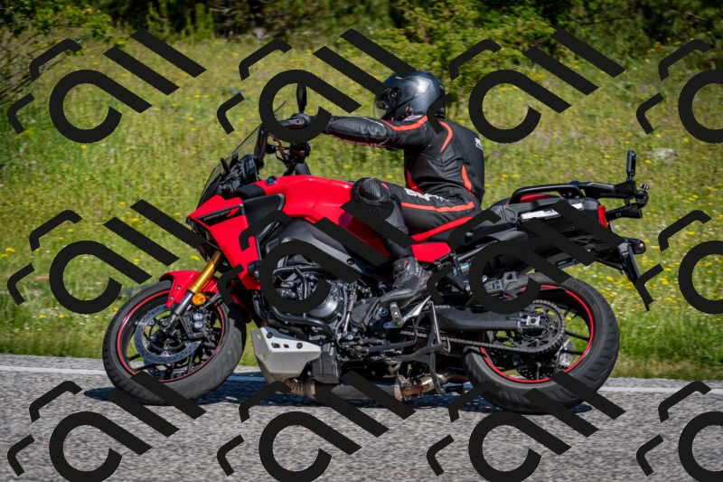 202506081012-DSC_5594_c2