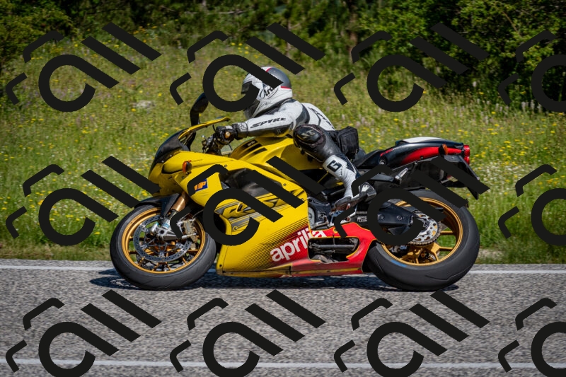 202506081016-DSC_5603_c2