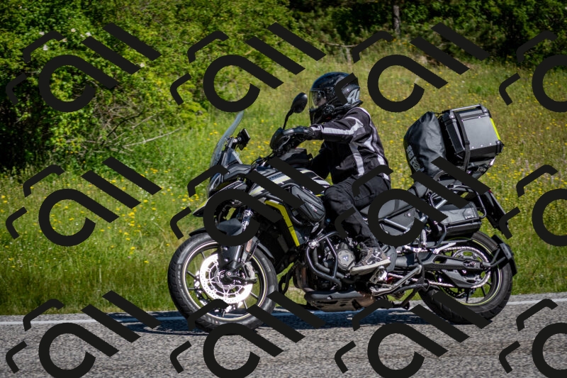 202506081017-DSC_5610_c2