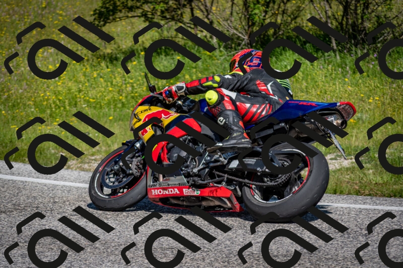 202506081019-DSC_5637_c2