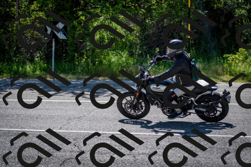 202506081020-DSC_5644_c2