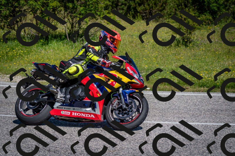 202506081021-DSC_5646_c2