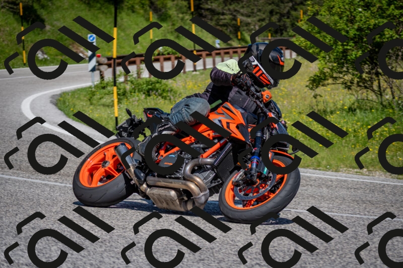 202506081023-DSC_5658_c2