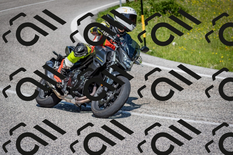 202506081023-DSC_5663_c2