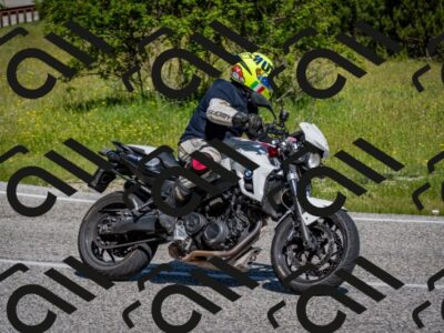 202506081026-DSC_5677_c2