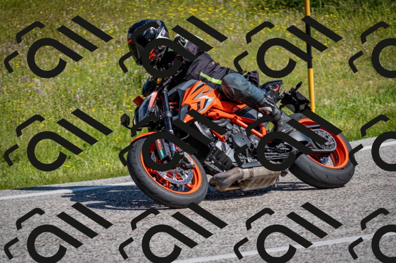 202506081027-DSC_5680_c2