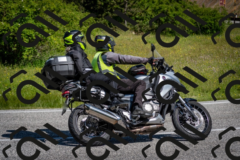 202506081029-DSC_5701_c2