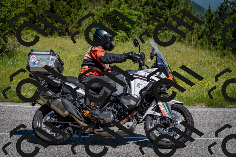 202506081029-DSC_5703_c2