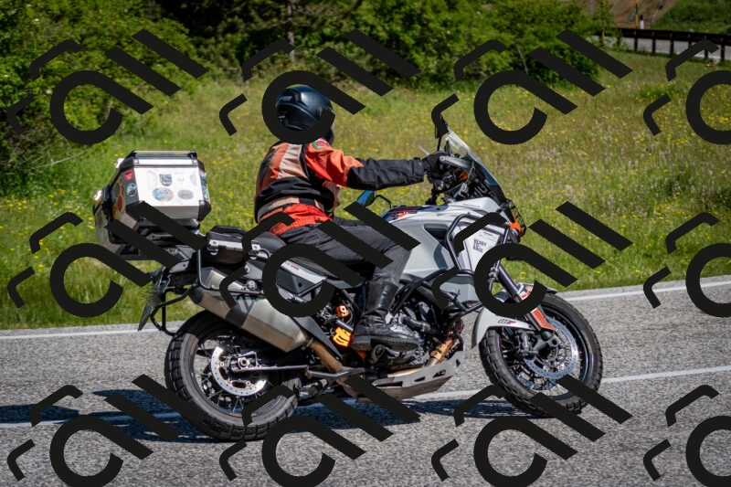 202506081029-DSC_5704_c2