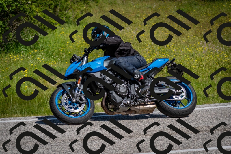 202506081029-DSC_5706_c2