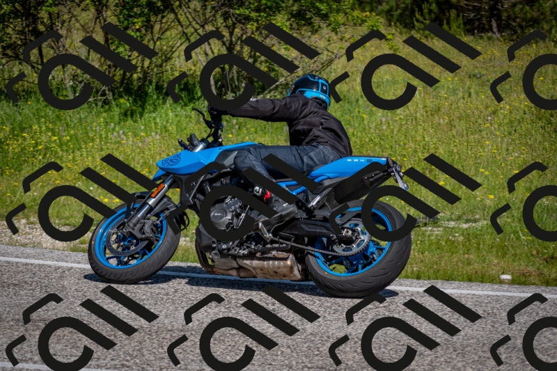 202506081029-DSC_5707_c2