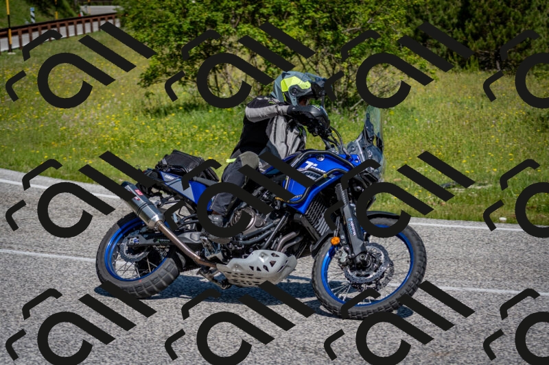 202506081030-DSC_5720_c2