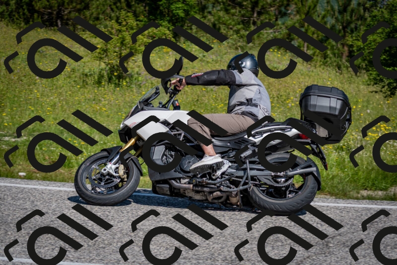 202506081035-DSC_5762_c2