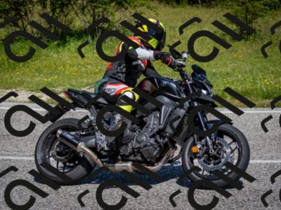 202506081036-DSC_5786_c2