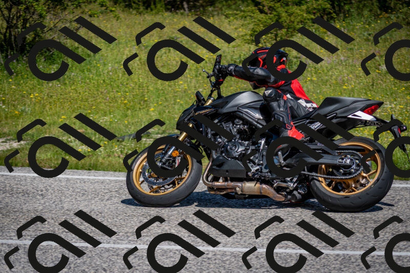 202506081038-DSC_5813_c2