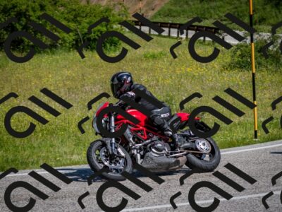 202506081042-DSC_5858_c2