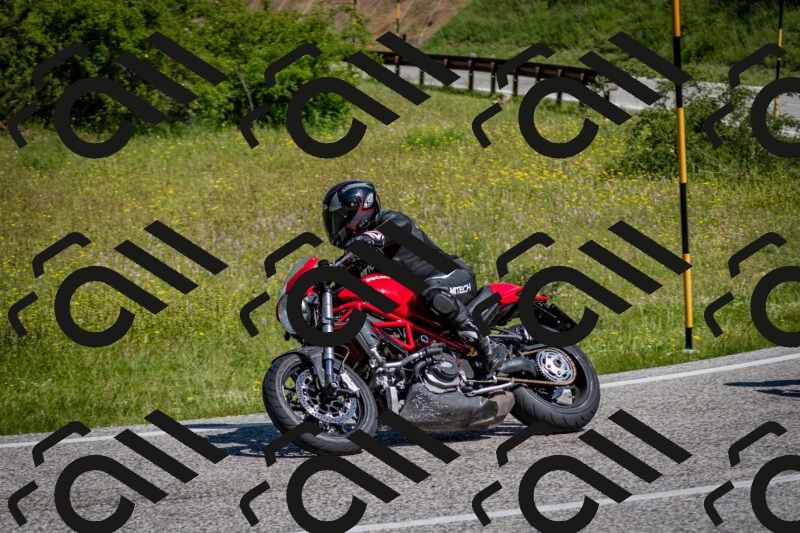 202506081042-DSC_5858_c2