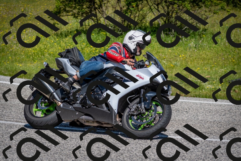 202506081045-DSC_5882_c2