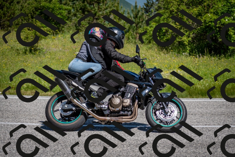 202506081045-DSC_5887_c2