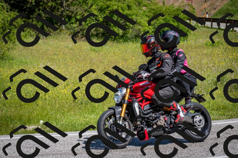 202506081047-DSC_5895_c2