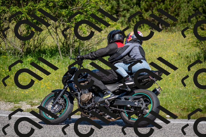 202506081047-DSC_5899_c2