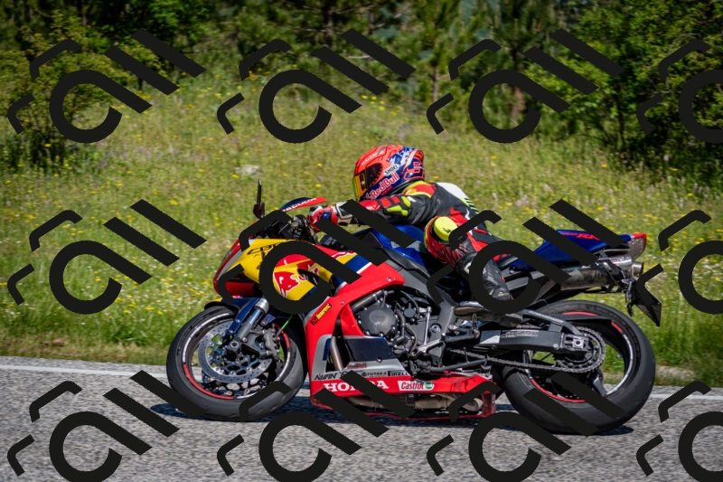 202506081048-DSC_5909_c2