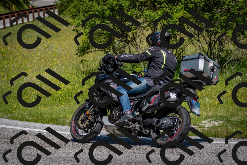 202506081050-DSC_5917_c2