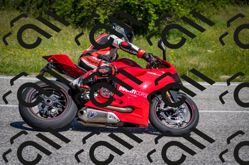 202506081050-DSC_5923_c2