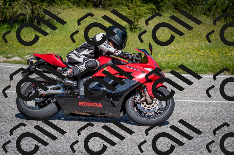 202506081050-DSC_5925_c2