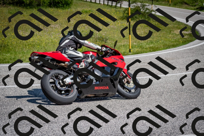 202506081050-DSC_5926_c2